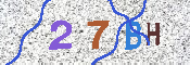 CAPTCHA Kép
