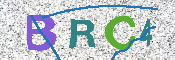 CAPTCHA Kép