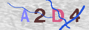 CAPTCHA Kép