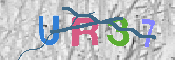 CAPTCHA Kép