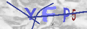 CAPTCHA Kép